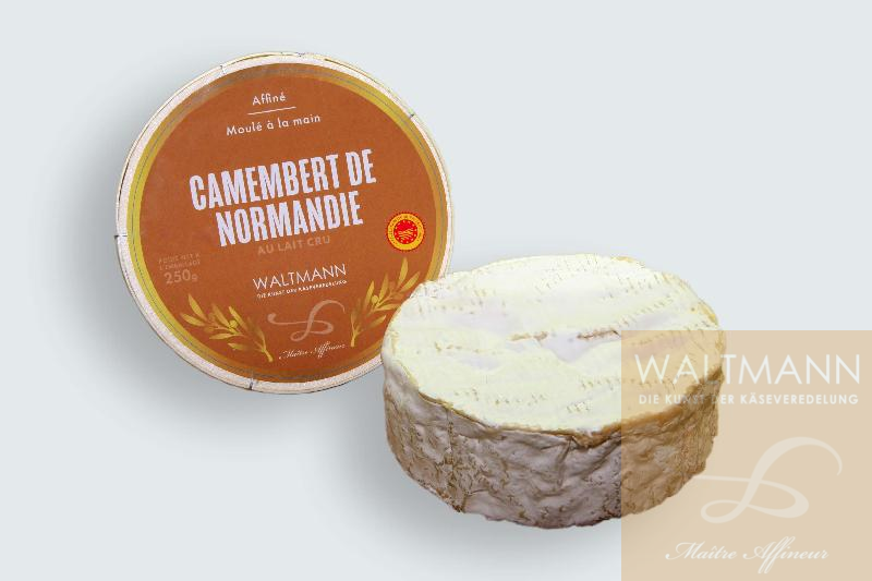 Camembert de Normandie fermier 