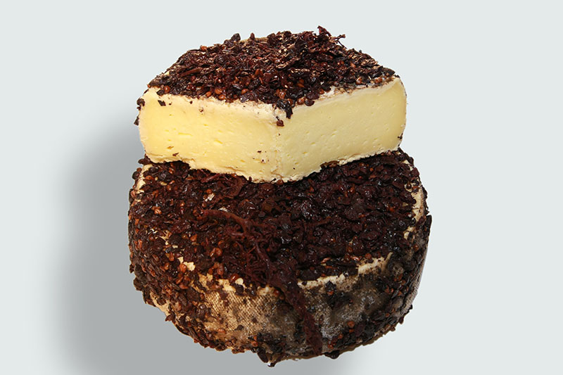 Tomme de Savoie in Trester gereift (Saisonal, ab Oktober, solange Vorrat reicht)