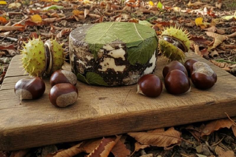 NEU im Herbst 2025 ! Piccoli m. Kastanien