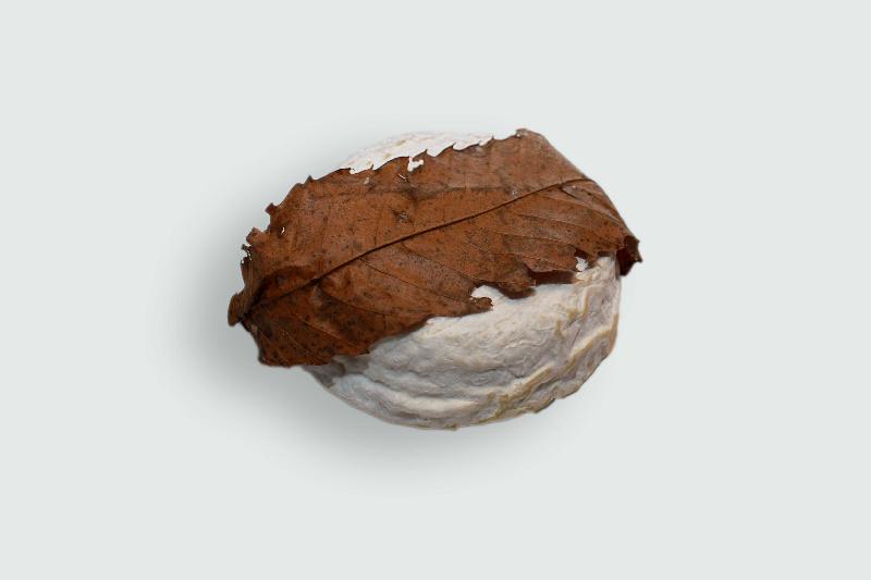 Saint Jeanvrin a la Truffe NEU 3/26