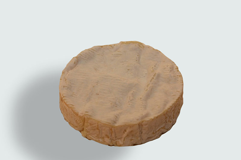 Soignon Ziegen-Camembert