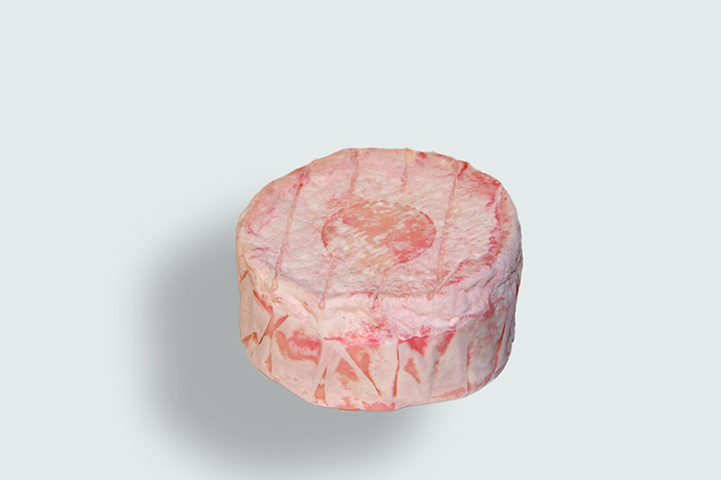 Waltmann´s Rose-Champagner No.1