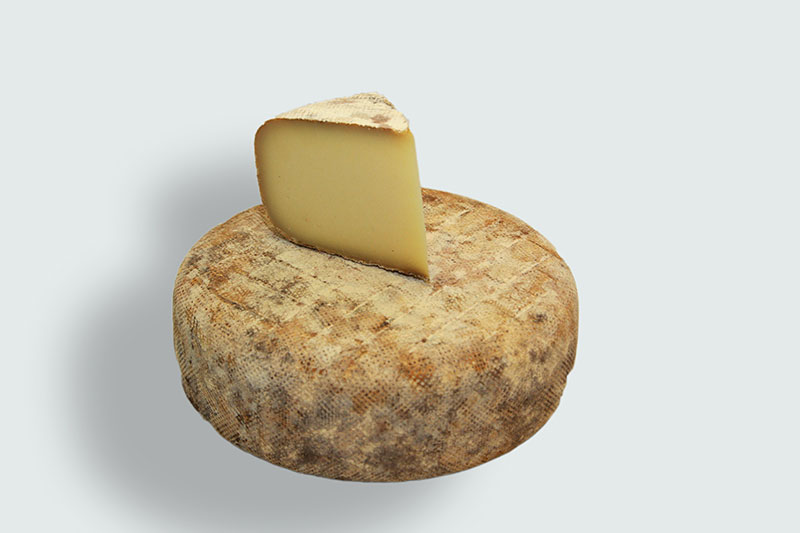  Neuheit !! Tomme Ondua (Ziege/Schaf zu je 50%)