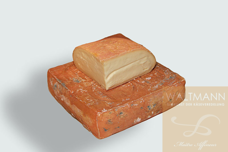 Taleggio thermisiert