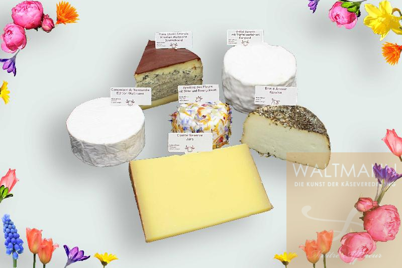 6.Waltmann`s Rainy Day-Cheese-Selection