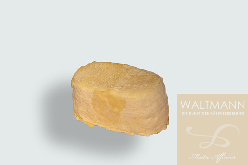 Machecoulais fermier