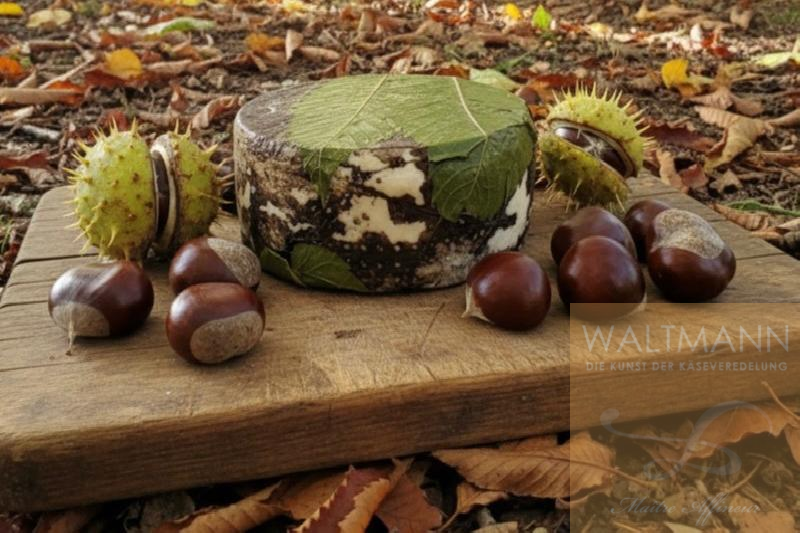 NEU im Herbst 2025 ! Piccoli m. Kastanien