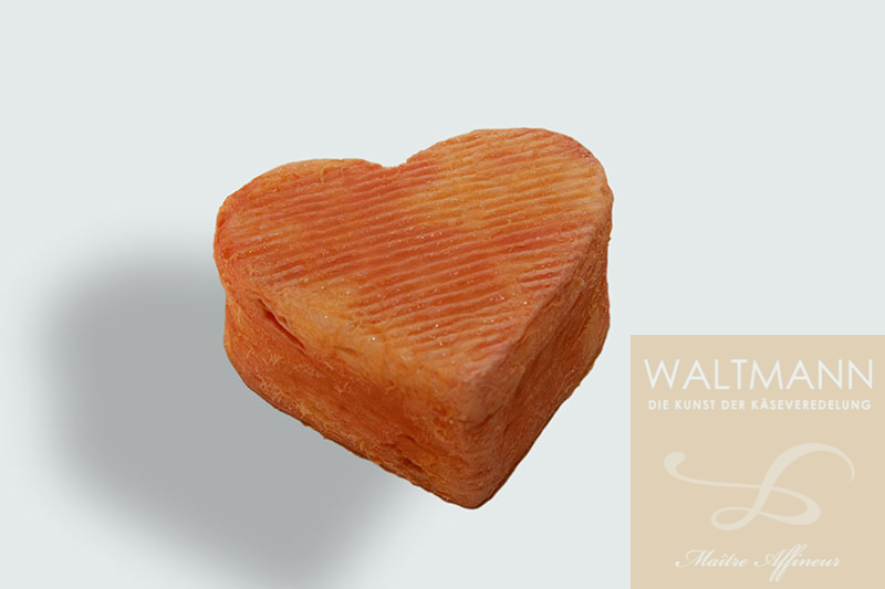 Coeur de Lille Ferme de Maraguerite