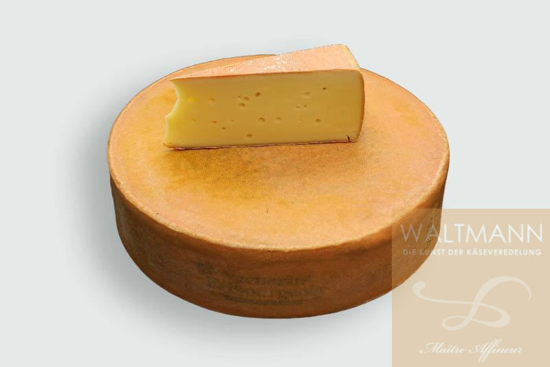  NEU in 2025 !Vacherin ...