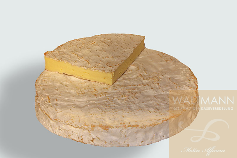 Brie de Meaux fermier AOP