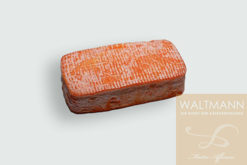 Briquette Toulousaine ...