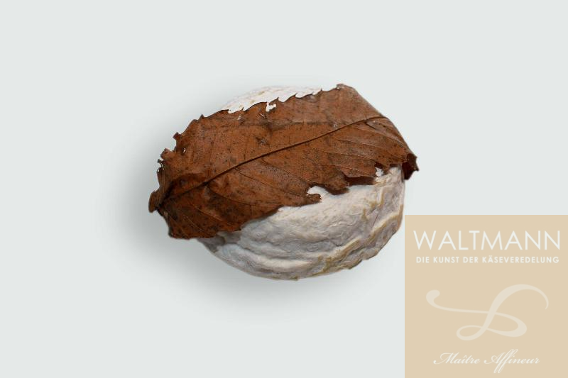 Saint Jeanvrin a la Truffe NEU 3/26