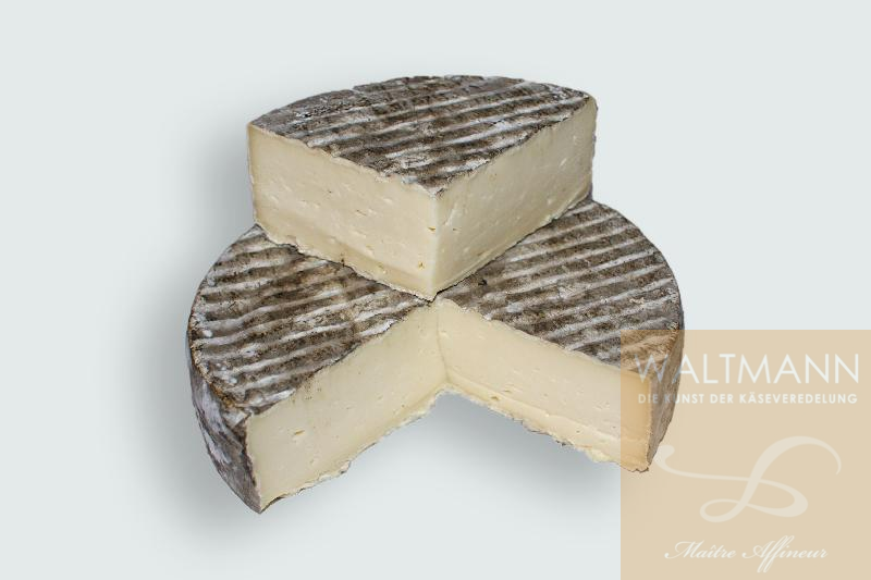 Tomme du Chatelard Tournette fermier