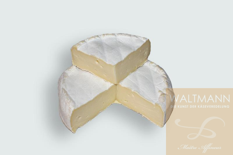 Fleur des Alpes Tournette fermier
